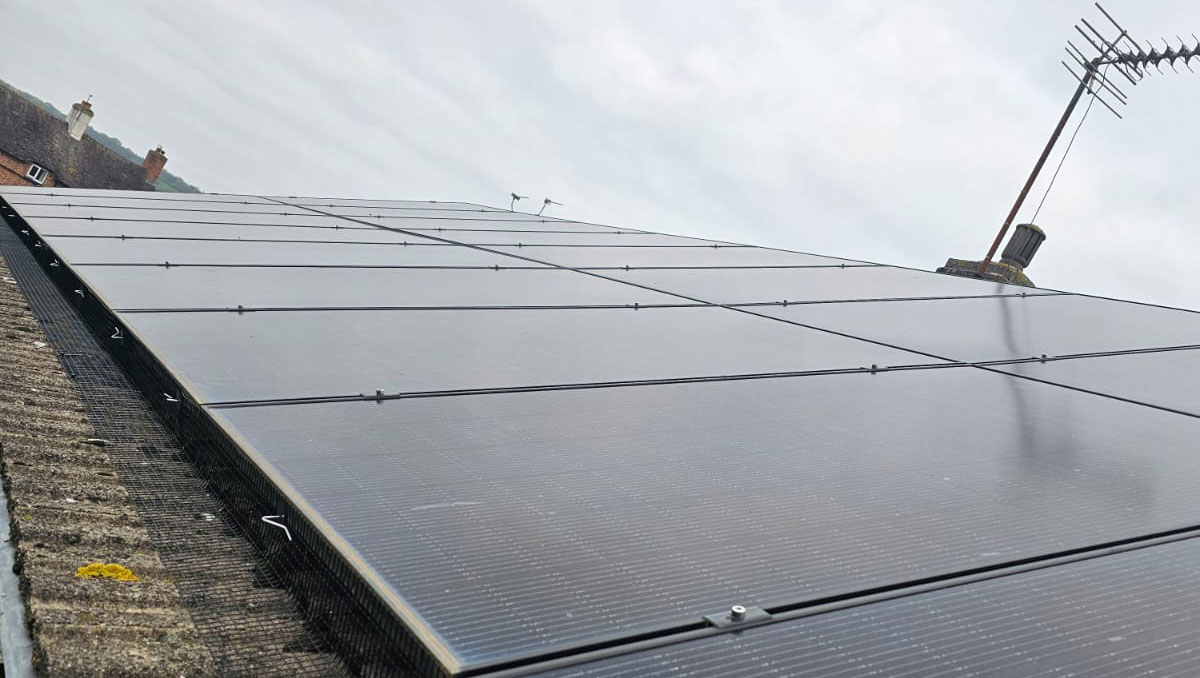 Protecting Solar Panels From Pigeons In Gotham