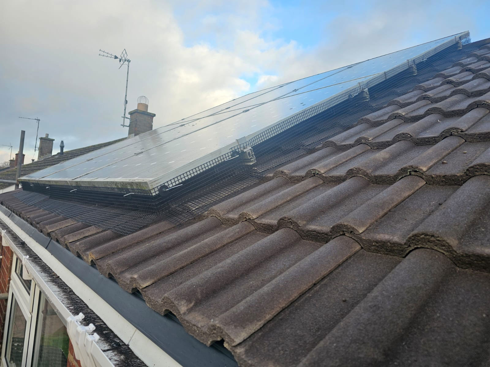 Pigeon Proofing Solar Panels in Grantham