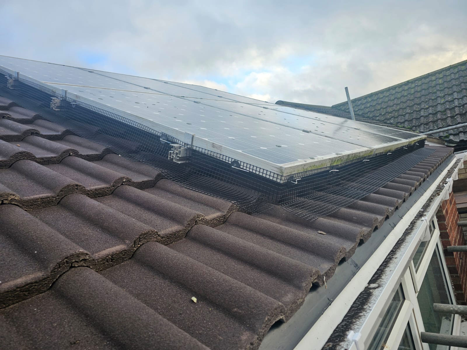 Pigeon+Proofing+Solar+Panels+in+Grantham