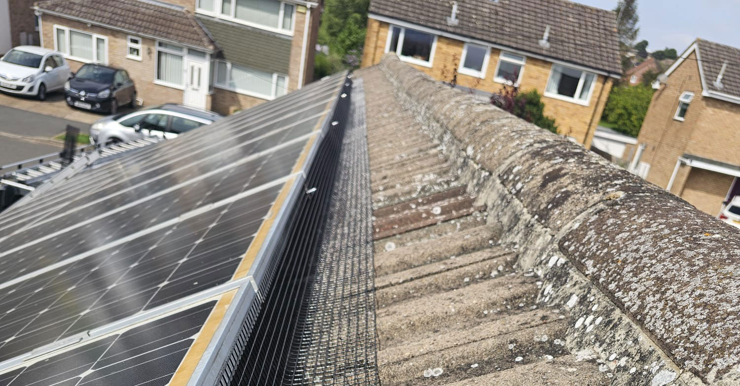 Protecting+Solar+Panels+From+Pigeons+in+Grantham