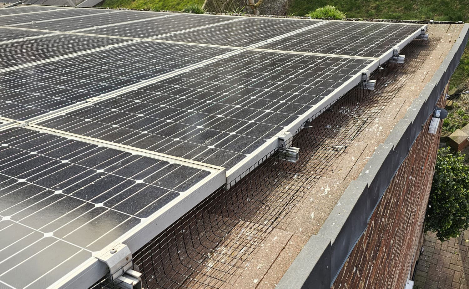 Pigeon Proofing Solar Panels in Hucknall