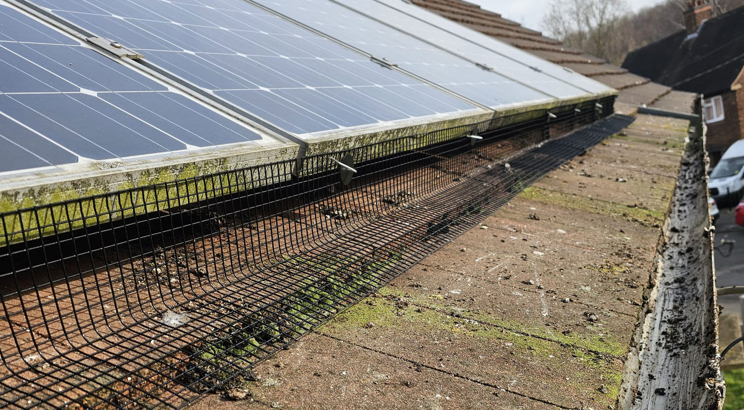 Pigeon Proofing Solar Panels in Hucknall