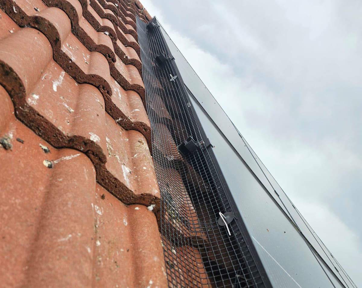 Preventing Pigeons From Nesting Under Solar Panels in Hucknall