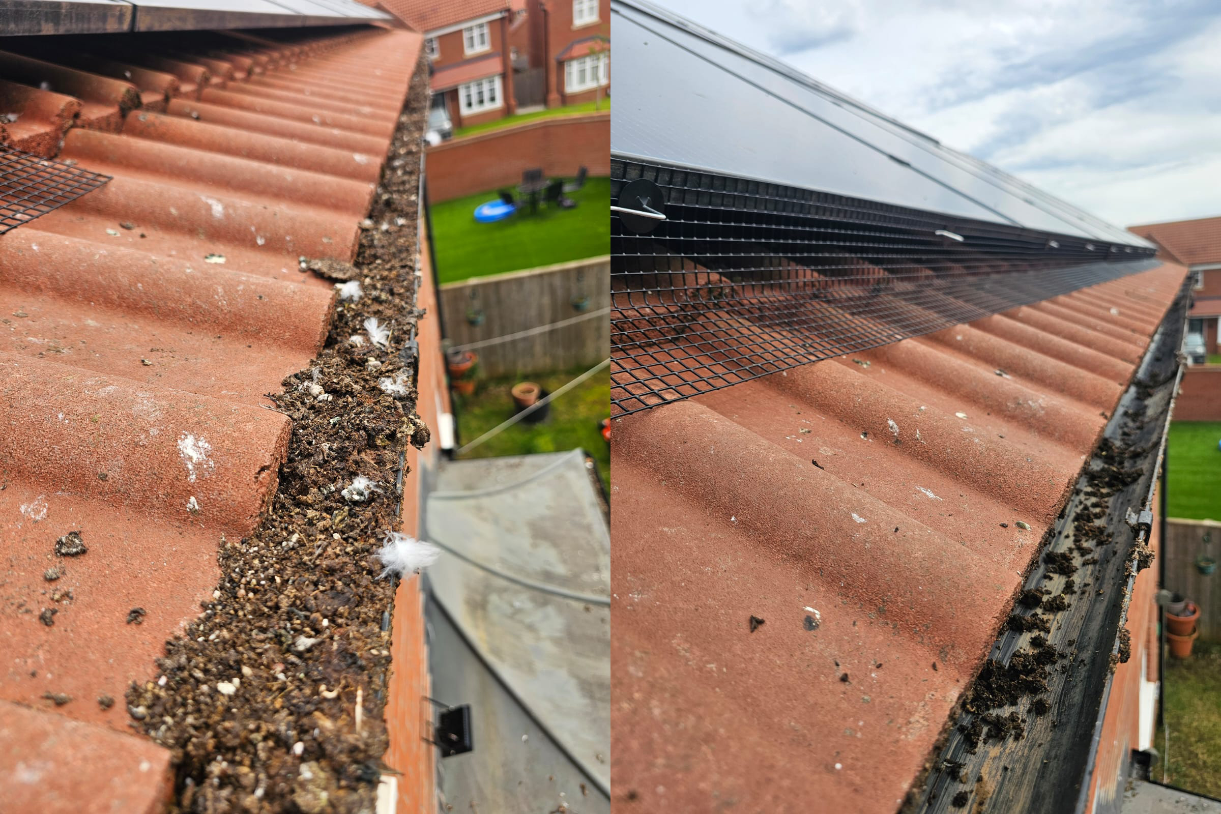 Preventing+Pigeons+From+Nesting+Under+Solar+Panels+in+Hucknall