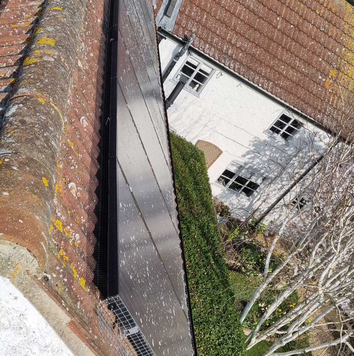 Jackdaws and Solar Panels