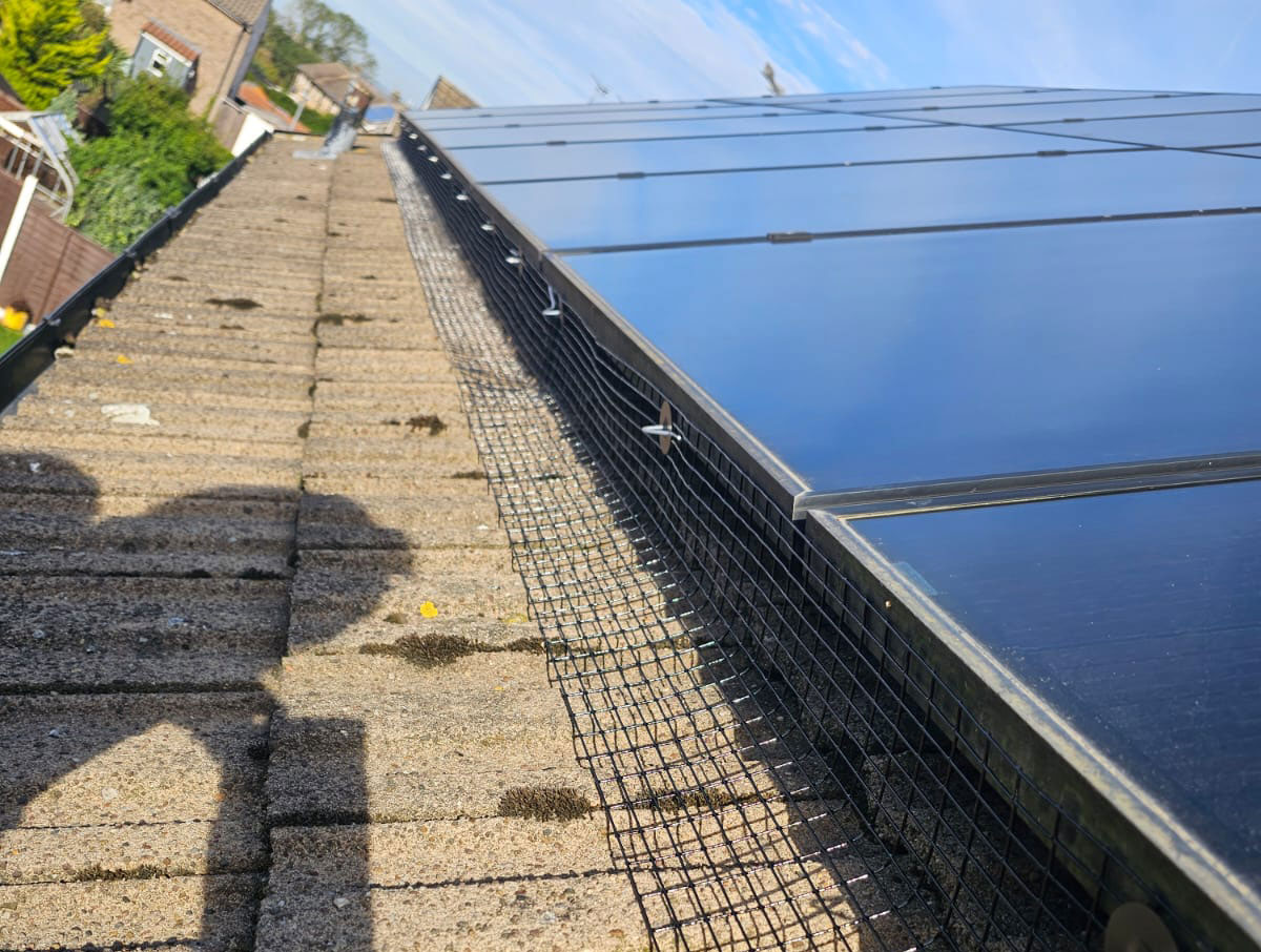 Protecting Solar Panels From Pigeons in Keyworth