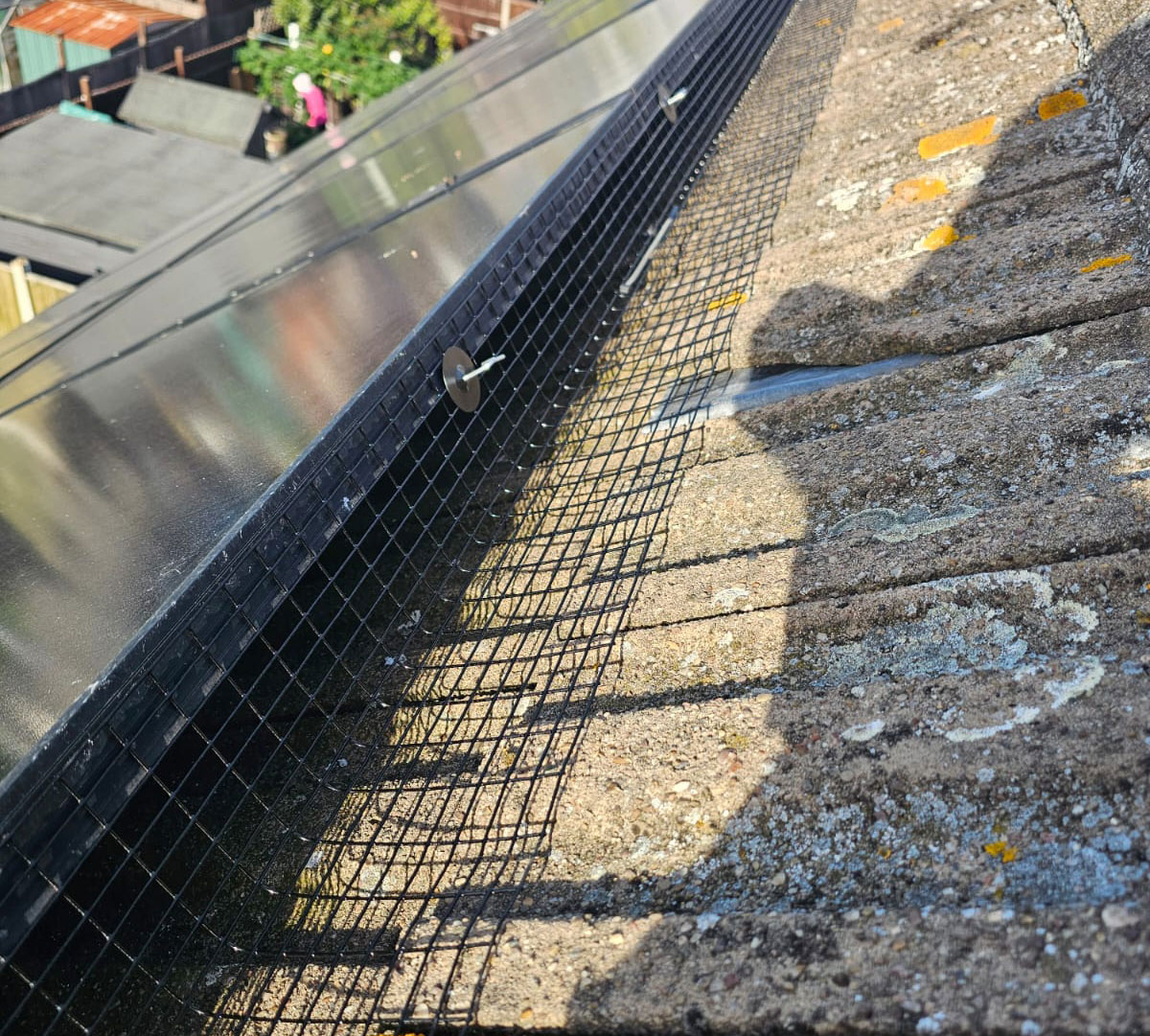 Protecting+Solar+Panels+From+Pigeons+in+Keyworth