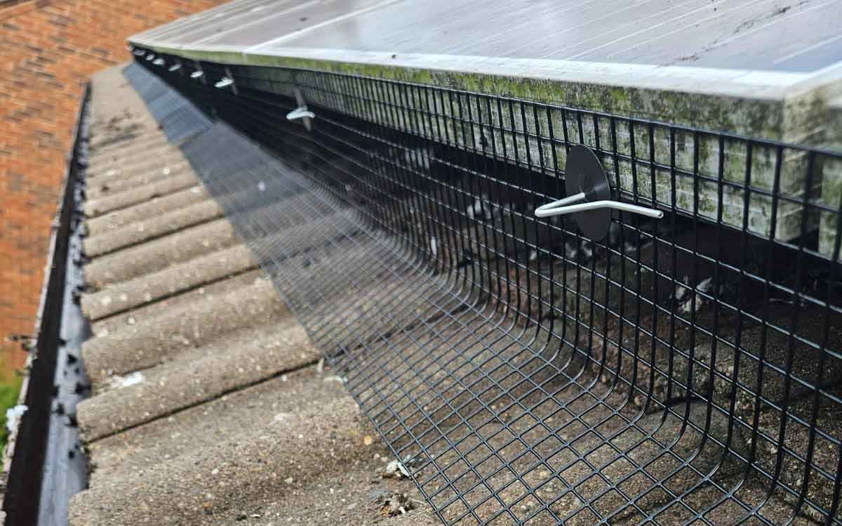 Pigeon Proofing Solar Panels in Kimberley