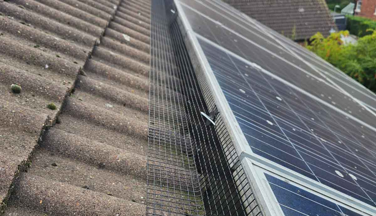 Pigeon Proofing Solar Panels in Kimberley