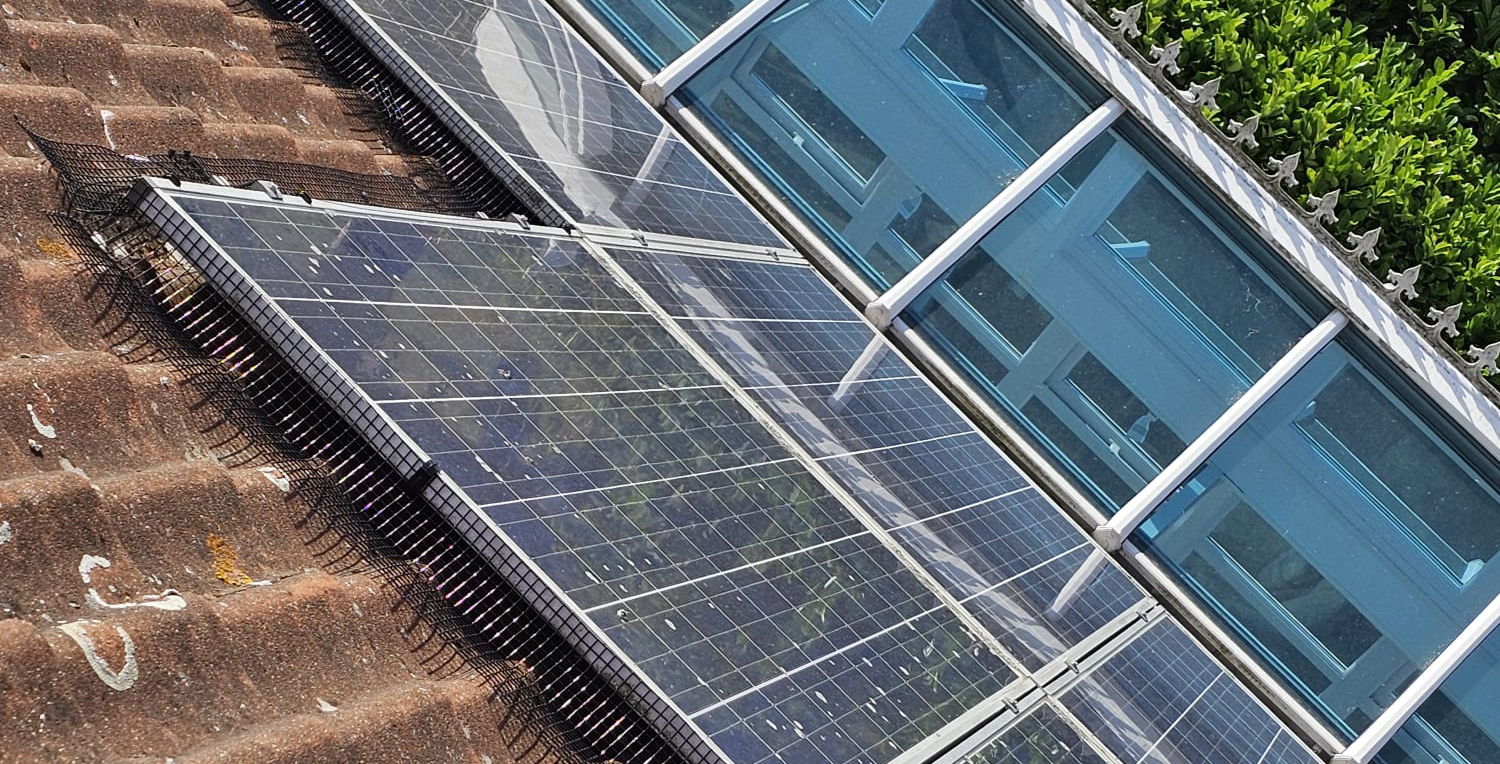 Protecting+Solar+Panels+From+Pigeons+In+Lambley