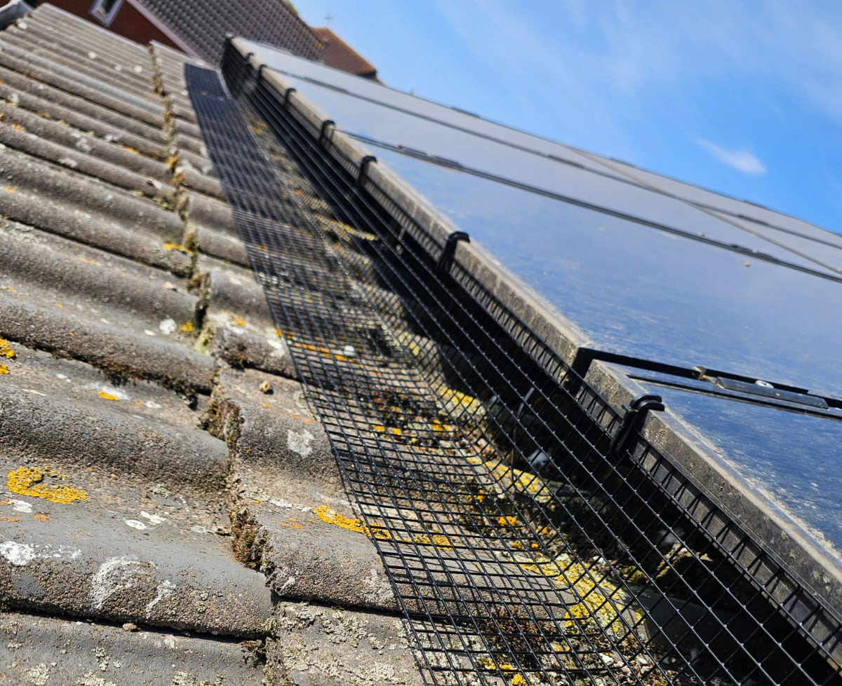 Pigeon Proofing Solar Panels on a 3 Storey House in Leicester