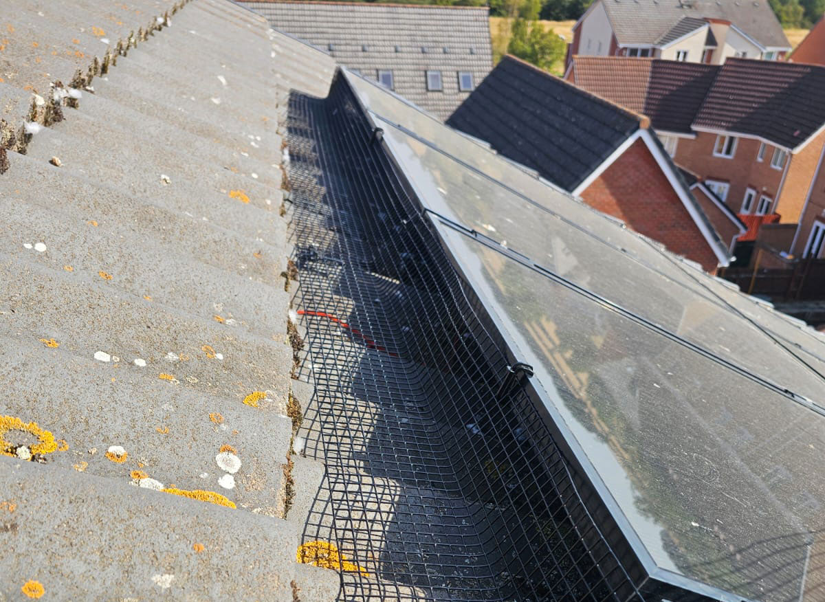 Pigeon+Proofing+Solar+Panels+on+a+3+Storey+House+in+Leicester