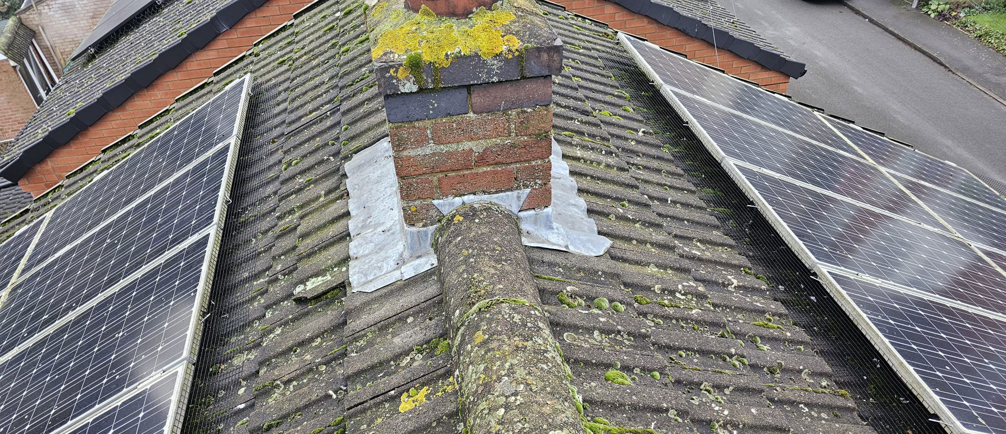 Protecting Solar Panels From Pigeons in Leicester