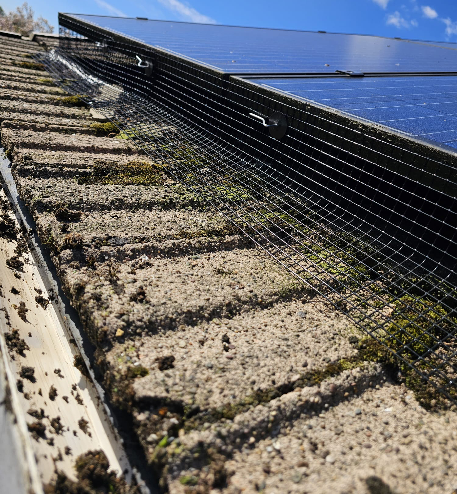 Pigeon Proofing Solar Panels in Leicester