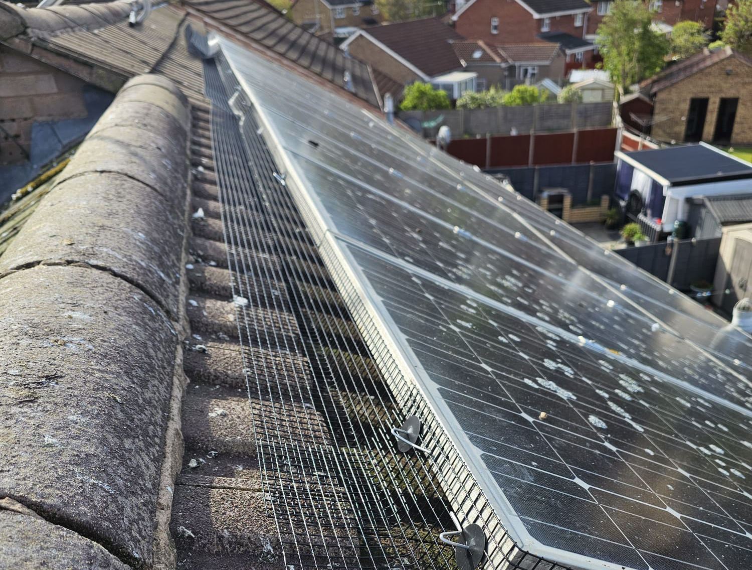 Pigeon+Proofing+Solar+Panels+in+Leicester