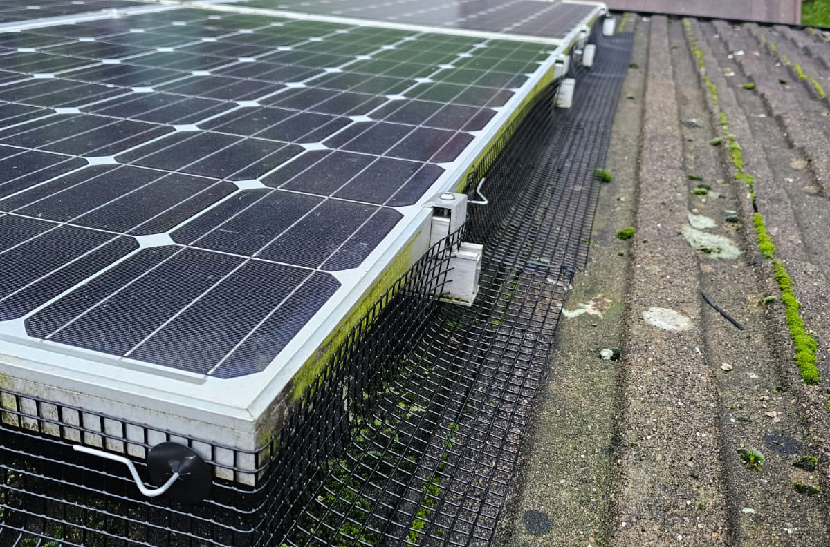 Pigeon Proofing in Long Eaton