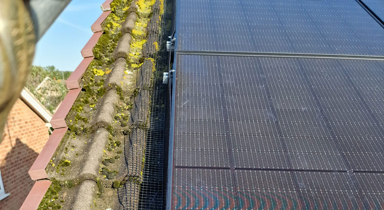 Long+Eaton+Pigeon+Proofing+Solar+Panels