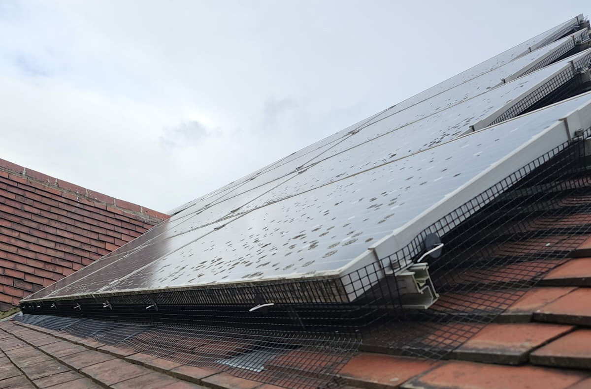 Pigeon Proofing Solar Panels in Long Eaton