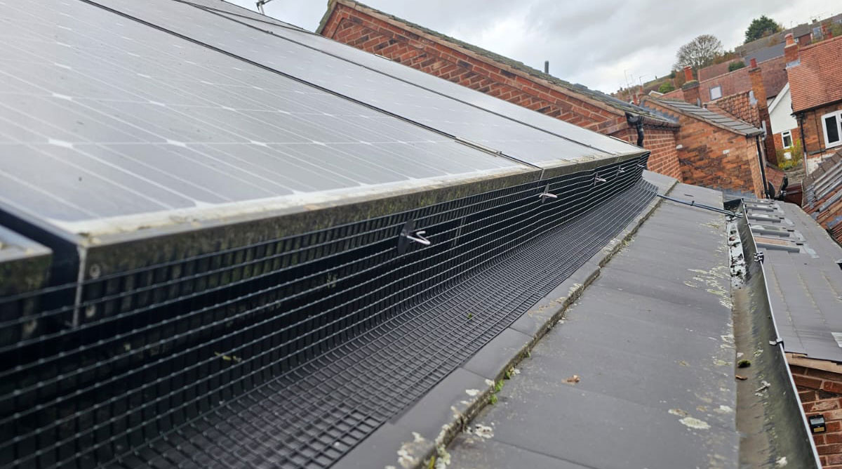 Protecting Solar Panels From Pigeons in Lowdham