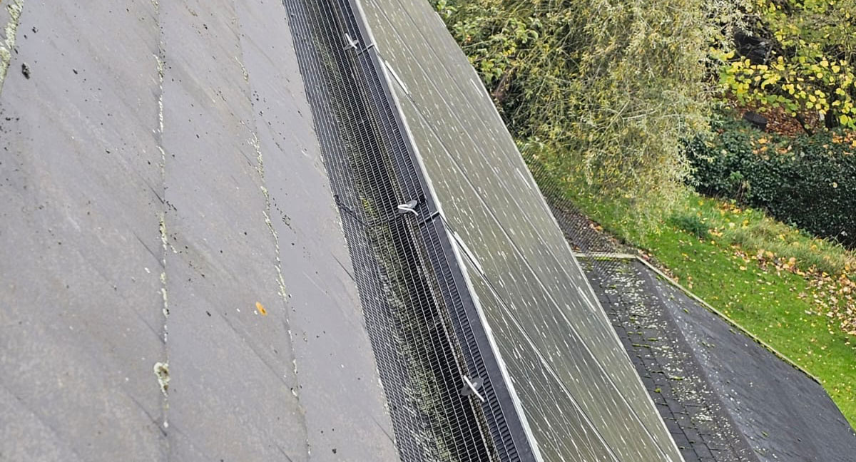 Protecting Solar Panels From Pigeons in Lowdham