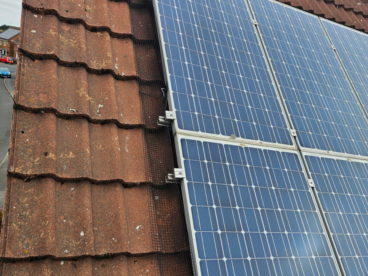 Solar Panels Protected From Pigeons in Mansfield