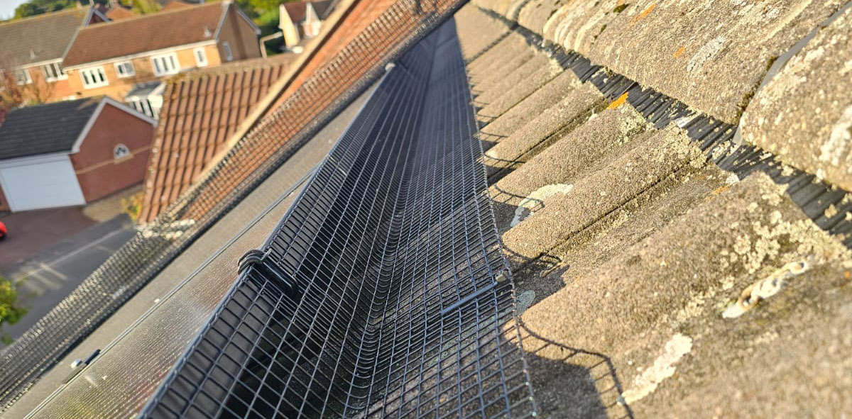 Pigeon Proofing Solar Panels in Mansfield