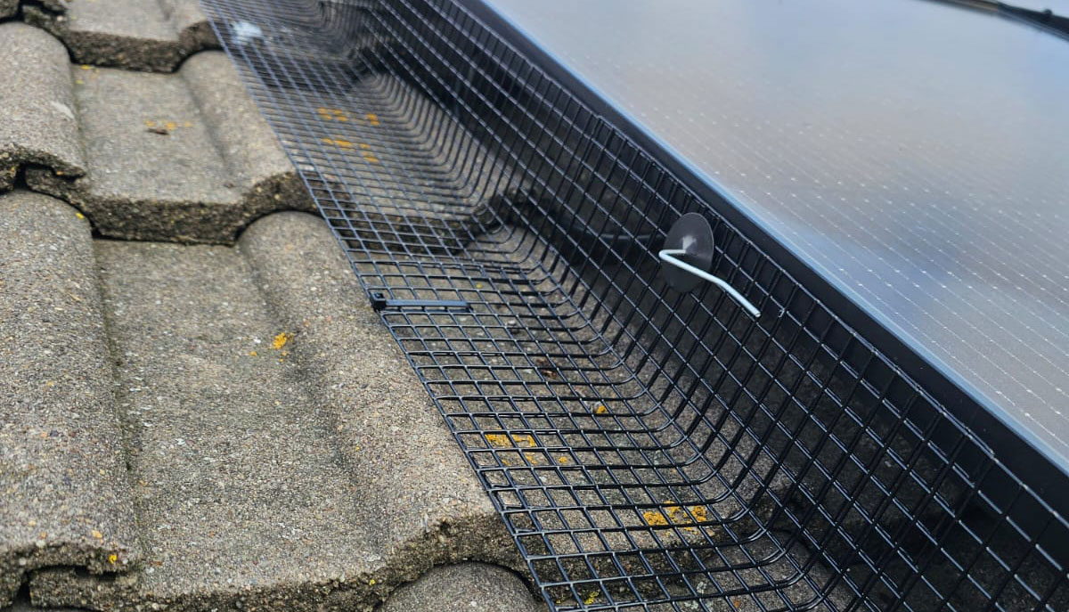 Pigeon Proofing Solar Panels in Mansfield