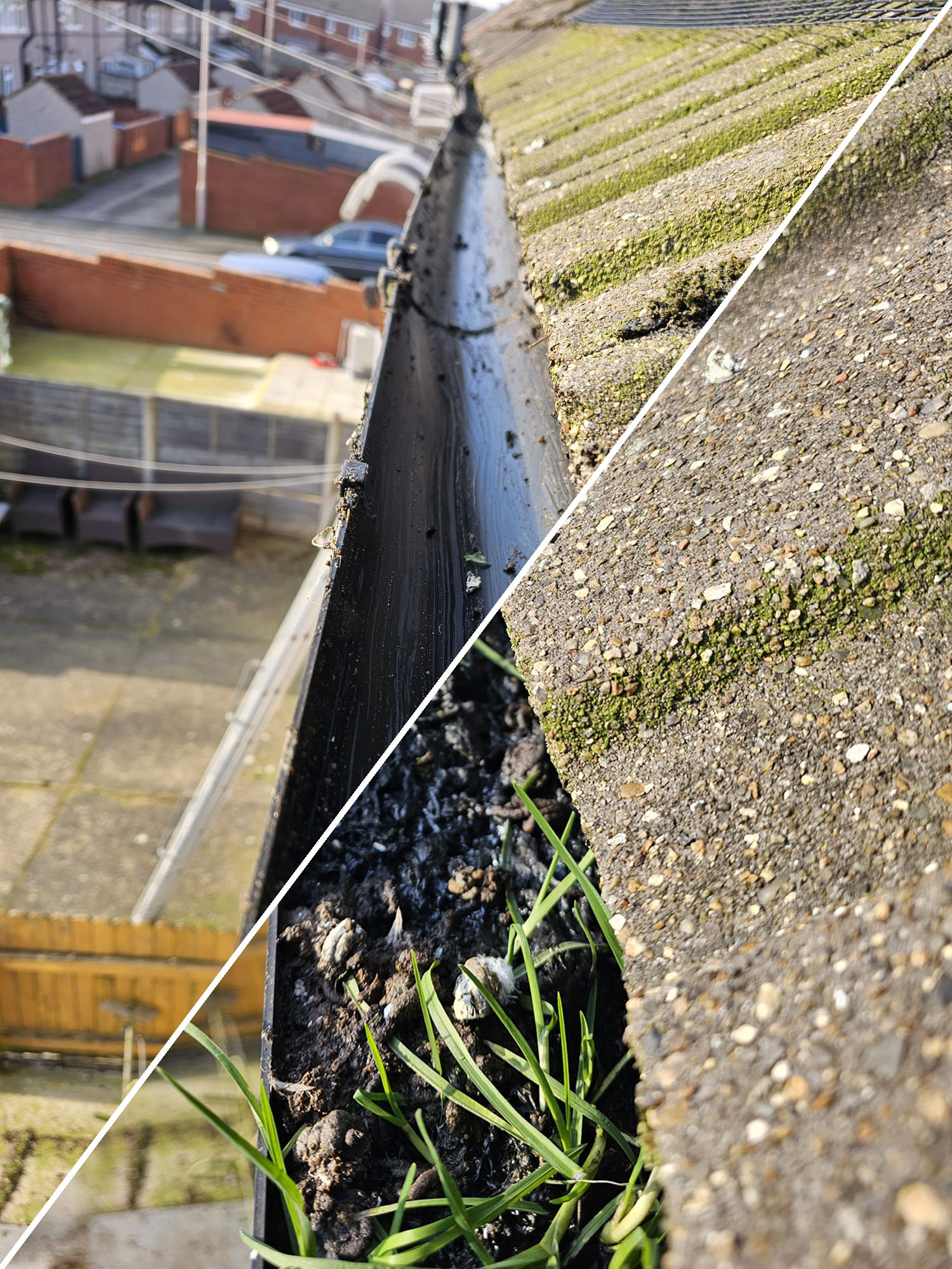 Protecting Solar Panels From Pigeons in Mansfield
