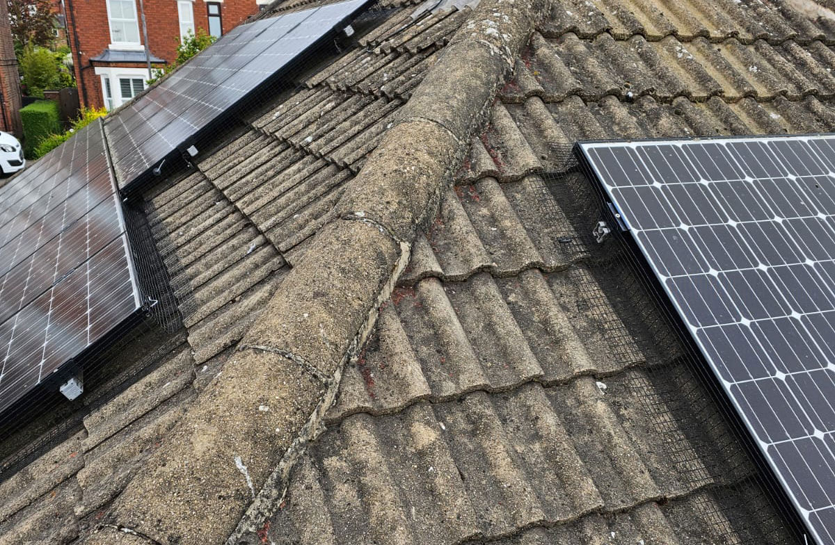 Solar Panels Protected From Pigeons in Mapperley