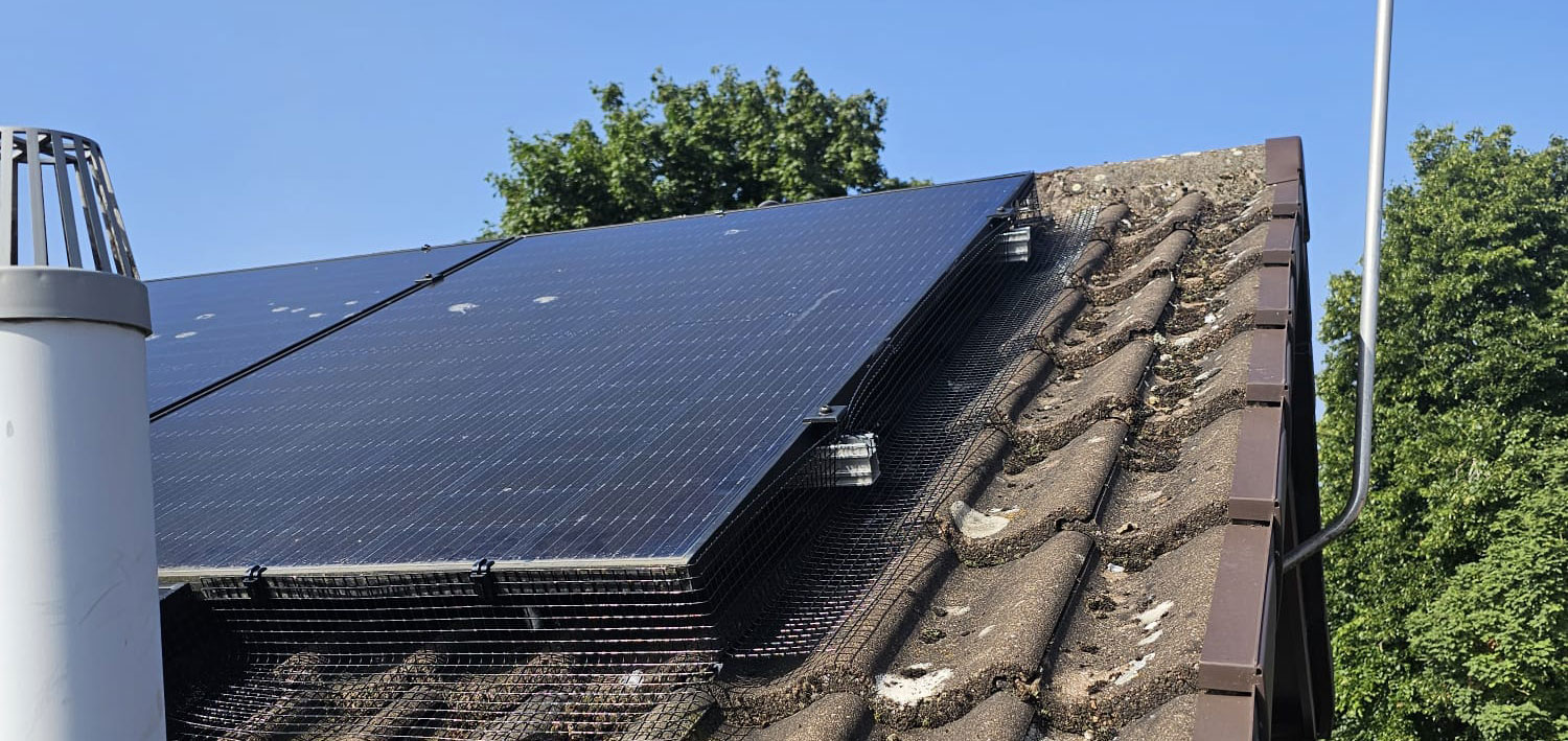 Protecting Solar Panels From Pigeons in Narborough