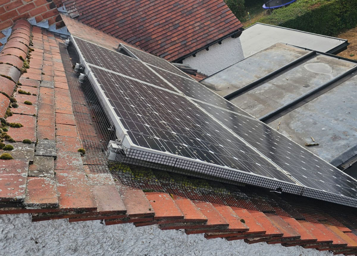 Preventing+Pigeons+From+Nesting+Under+Solar+Panels+in+Nuthall