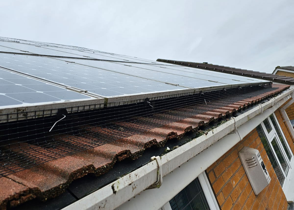 Protecting Solar Panels from Pigeons in Nuthall