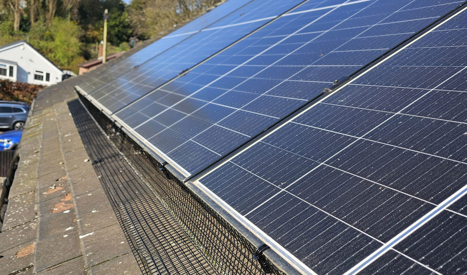 Protecting Solar Panels From Pigeons In Oakdale