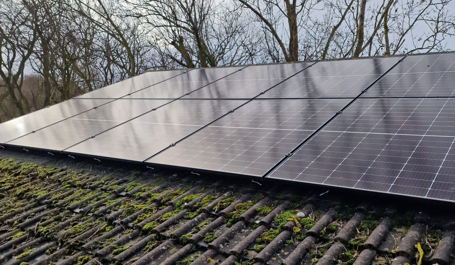 Protecting+Solar+Panels+from+Pigeons+in+Oakham