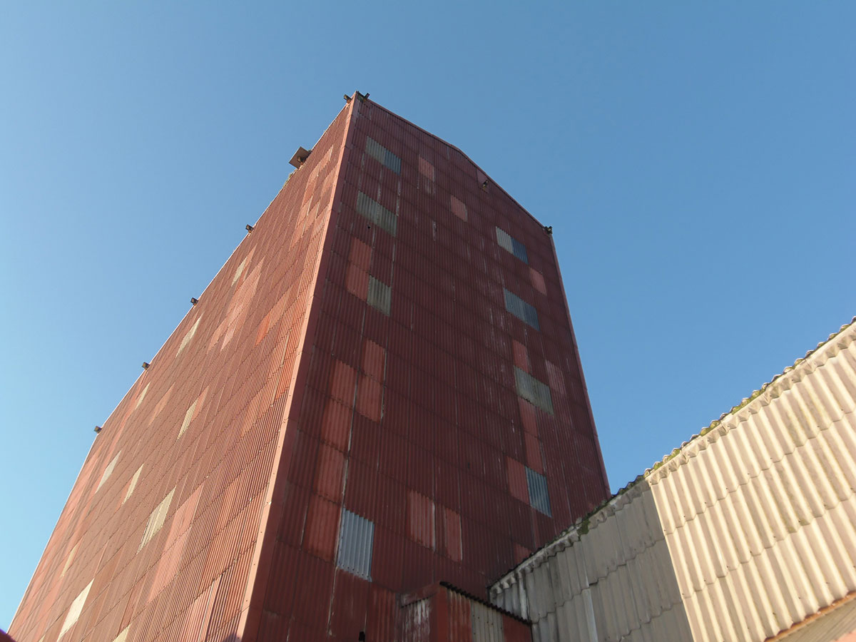 Netting to Prevent Peregrine Nesting