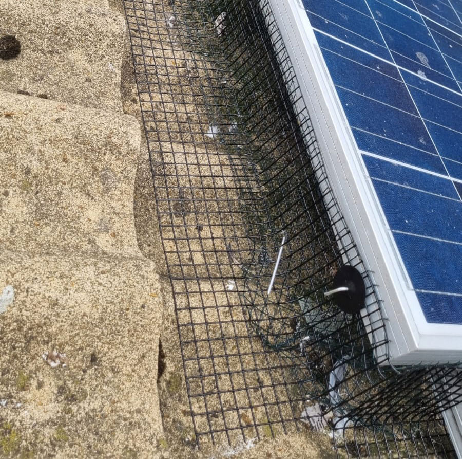 Pigeon Proofing Done Properly