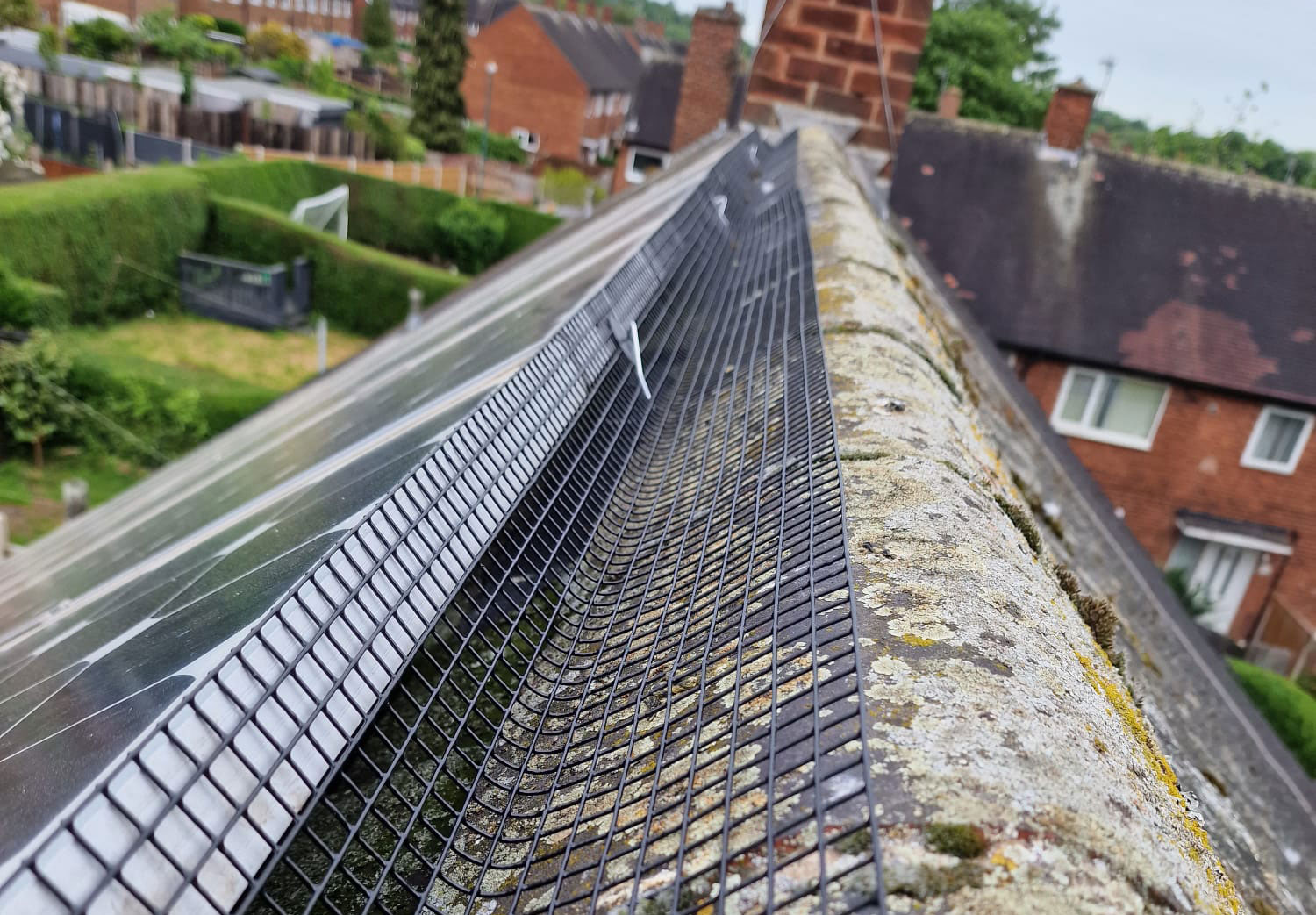 Pigeons under Solar Panels in Clifton