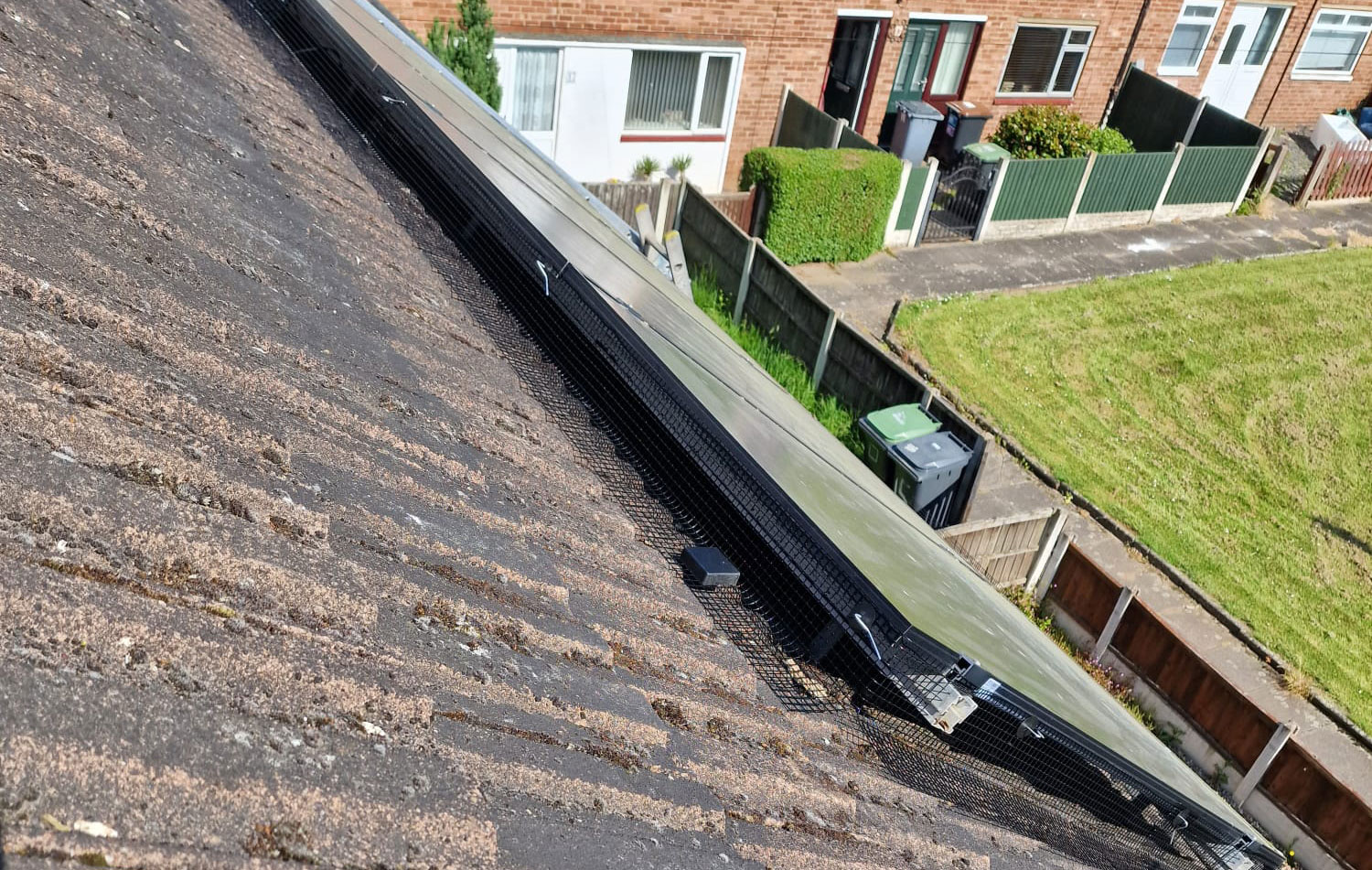 Pigeon Proofing Solar Panels in Bramcote