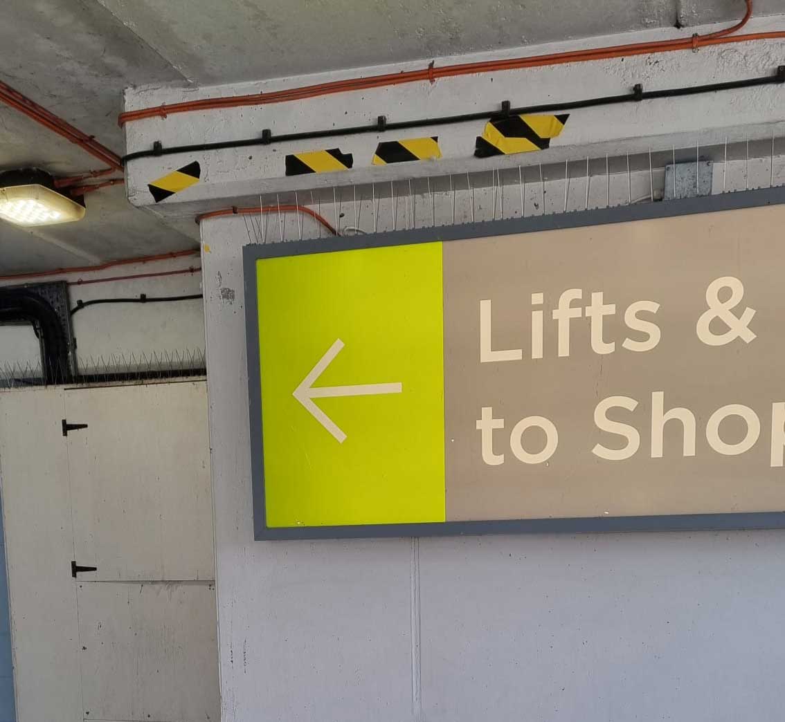 Pigeon+Proofing+a+Car+Park