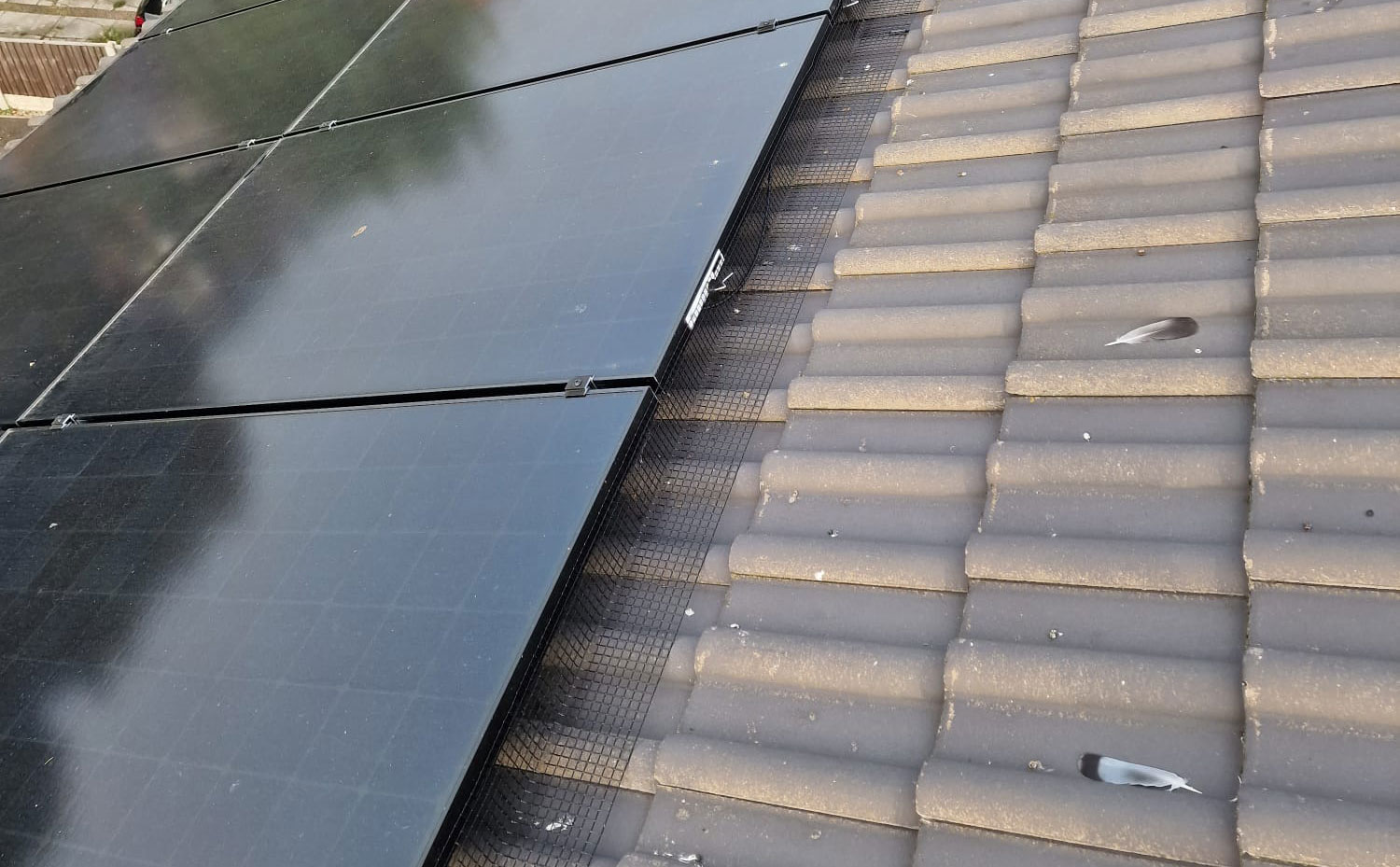 Pigeon Proofing Solar Panels in Draycott