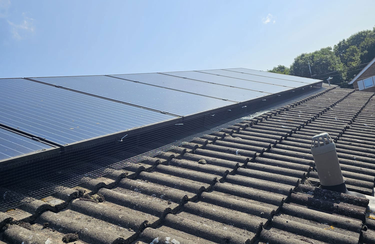 Protecting Solar Panels from Pigeons in Northamptonshire