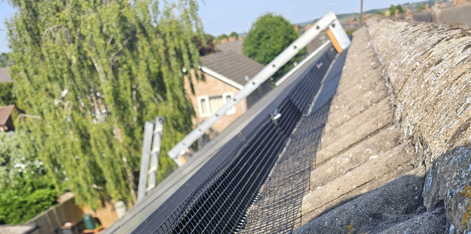 Protecting+Solar+Panels+from+Pigeons+in+Northamptonshire