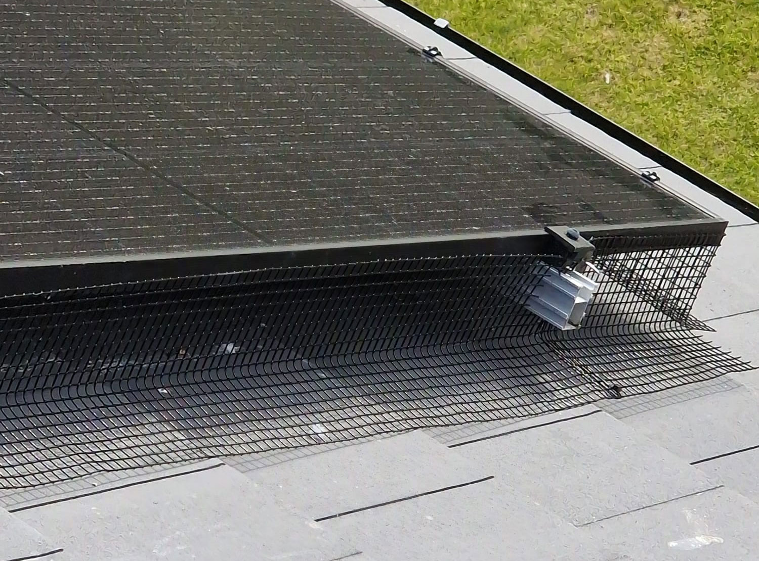 Pigeon+Proofing+Solar+Panels+in+Attenborough