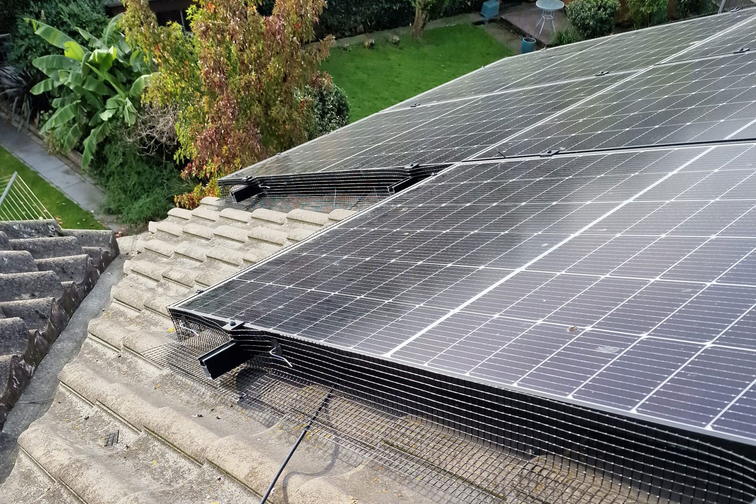 Pigeon+Proofing+Solar+Panels+in+Beeston