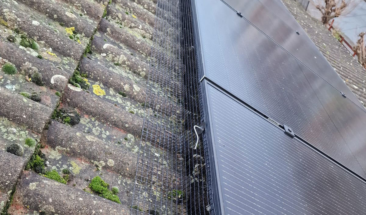Pigeon Proofing Solar Panels in Bingham, Notts