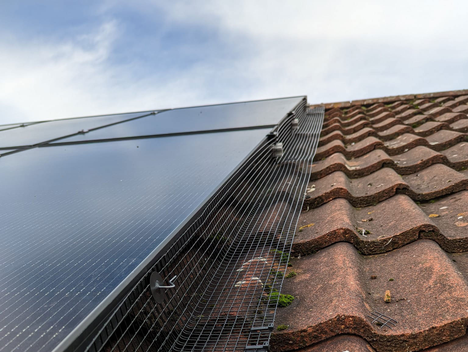 Brand New Solar Panels in Bramcote Quickly Attracted Pigeons