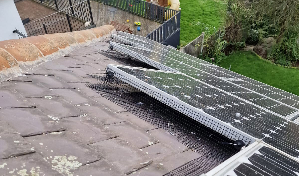 Pigeon Proofing Solar Panels in Carlton