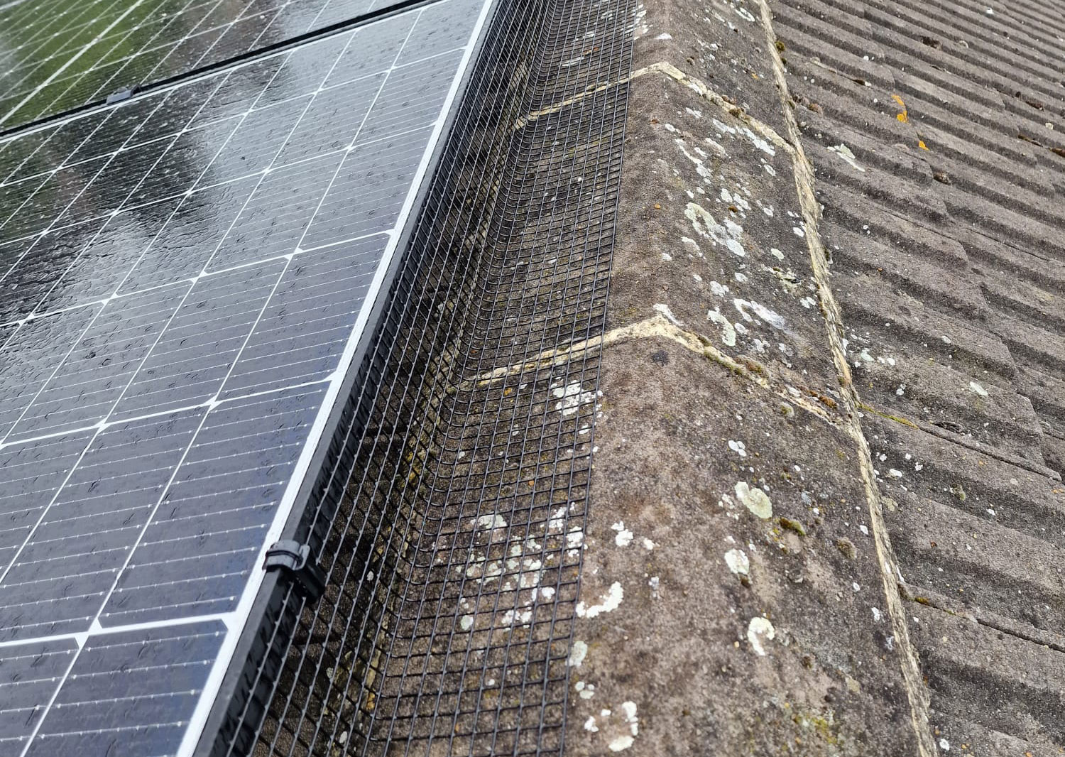 Pigeon+Proofing+Solar+Panels+in+Chilwell