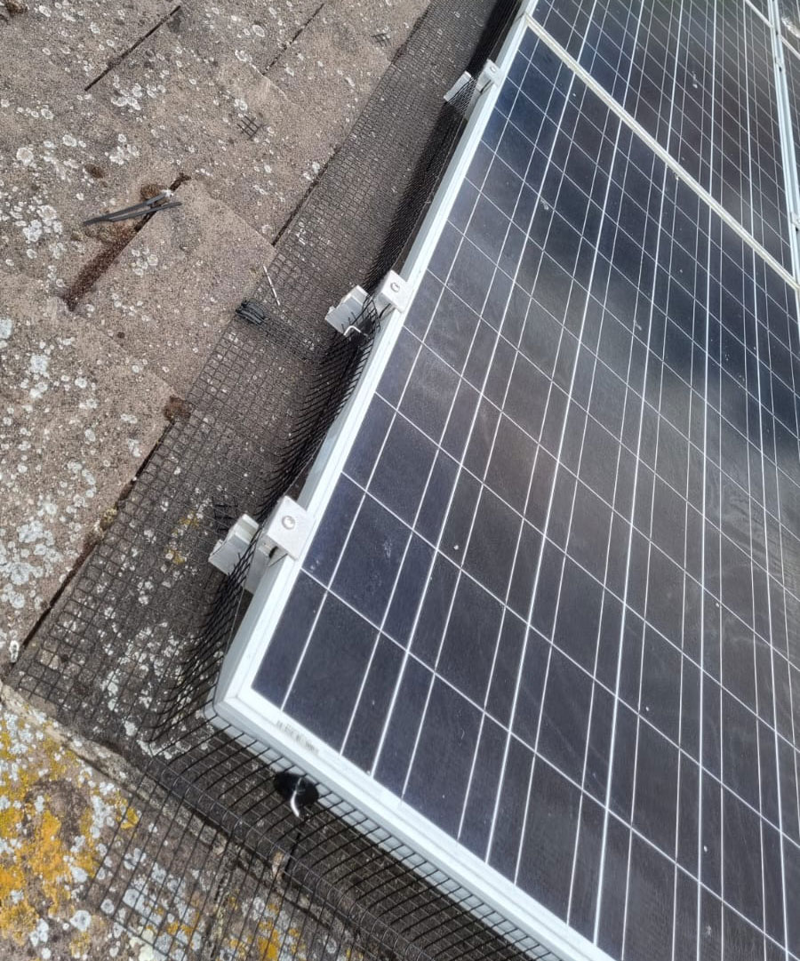 Protecting Solar Panels from Pigeons in Colwick