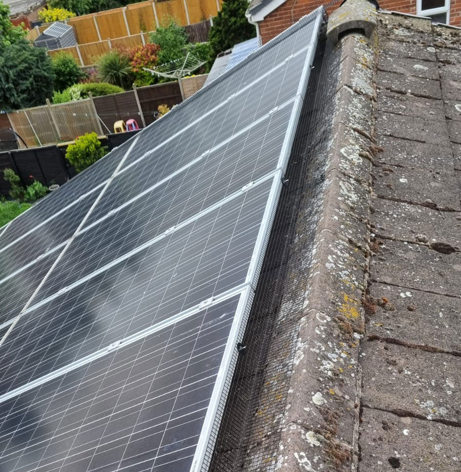 Protecting Solar Panels from Pigeons in Colwick